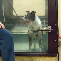 Photo taken at Circle City Veterinary Emerg &amp;amp; Specialty Hospital by Kelly M. on 5/16/2012