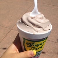 yogurt park