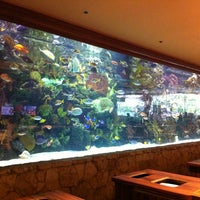 Photo taken at The Mirage Aquarium by Adam on 7/14/2012