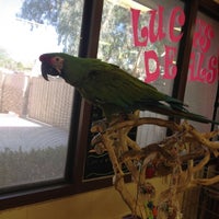 bark avenue pet resort mesa az
