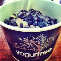 Снимок сделан в yogurtree пользователем Steve L. 7/1/2012