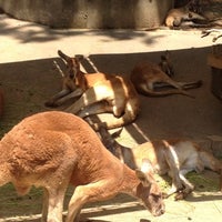 Photo taken at kangaroo Picnic Area by がとく on 5/5/2012
