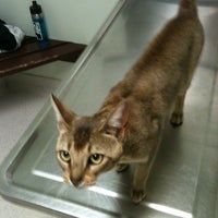 Photo taken at Balboa Pet Hospital by Jon F. on 6/7/2012