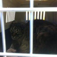 Photo taken at Balboa Pet Hospital by Karen F. on 6/16/2012