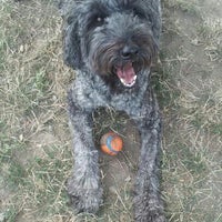 Photo taken at Swift Run Dog Park by Tobey T. on 7/23/2012
