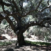 Rancho Santa Ana Botanic Garden The Claremont Colleges 10 Tips