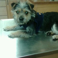 Animal Hospital of Sussex County - 4 tips