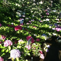 Wayside Garden Center 4 Tips