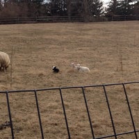 รูปภาพถ่ายที่ Paxson Hill Farm โดย Carli D. เมื่อ 2/21/2012