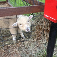 6/10/2012 tarihinde Chyrel B.ziyaretçi tarafından Whitney&amp;#39;s Farm Market'de çekilen fotoğraf