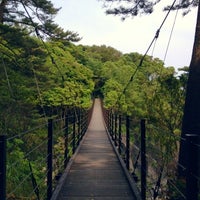 橋立吊橋 3 Tips From 295 Visitors 橋立吊橋 3 Tips From 295 Visitors