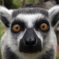 North Carolina Zoo - Asheboro, NC