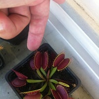 Photo taken at Venus Fly Trap by Mariano G. on 2/16/2012