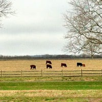 Photo taken at Janssen Pharmaceutical Research &amp; Development by Leonie R. on 3/20/2012