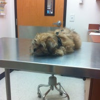 Photo taken at Banfield Pet Hospital by Kim B. on 8/6/2012