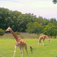 Foto diambil di Cape May County Zoo Society oleh Amie G. pada 8/25/2012