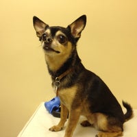 Das Foto wurde bei Pender Veterinary Centre von LiLToKyO am 3/19/2012 aufgenommen