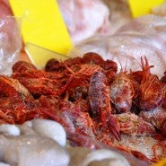 Photo taken at Bayard Meat Market by MetroFocus on 3/1/2012