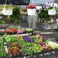 Photo taken at Langhorst Greenhouse by Chris A. on 5/13/2012