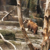 Photo taken at Brown Bears by Alisia L. on 7/19/2012