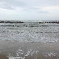 Spiaggia Dei Fiori Beach In Fano
