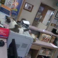 VCA Mission Animal Hospital - Veterinarian VCA Mission Animal Hospital - Veterinarian