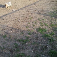 Photo taken at Owl’s Head Park Dog Run by Pahola J. on 6/7/2012