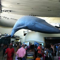 Снимок сделан в Aquarium of the Pacific пользователем Rasheeda W. 7/29/2012