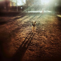 Photo taken at Seger Dog Park by Shawn Z. on 2/27/2012