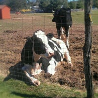 Photo taken at Woodstock Farm Animal Sanctuary by Shawnie on 4/7/2012
