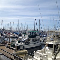 schooner or later schooner or later
