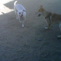 Photo taken at Downtown LA Arts District Dog Park by Shannon O. on 6/8/2012
