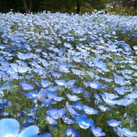 東武トレジャーガーデン Ahora Cerrado Jardin En 館林市
