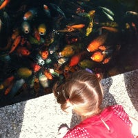 Photo taken at Koi Pond @ National Arboretum by Jennifer S. on 8/5/2012