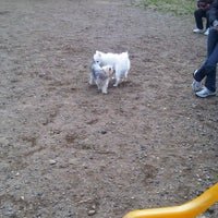 Photo taken at Owl’s Head Park Dog Run by Pahola J. on 2/4/2012