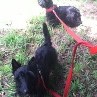 Photo taken at Peachtree Walk Dog Park by Adrian D. on 7/22/2012