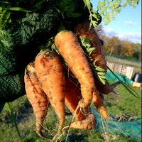 Photo taken at Rush Green Allotments by Steve D. on 2/19/2012