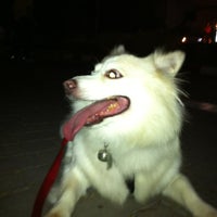 Photo taken at Dog park by Kae na M. on 4/1/2012