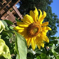 Sweetfield Farms - Brooksville, FL