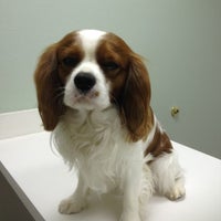 7/25/2012にJamieがMerrill Animal Clinicで撮った写真