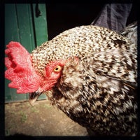 9/10/2012にChris C.がCatskill Animal Sanctuaryで撮った写真