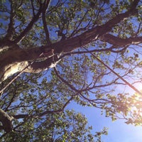 Photo taken at Tree Swing by Doc P. on 5/1/2012