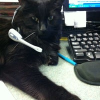 Снимок сделан в North Seattle Veterinary Clinic пользователем North Seattle Vet 3/15/2012