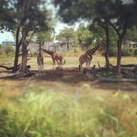 Photo taken at The Giraffe Exhibit by Brian J. on 7/3/2012