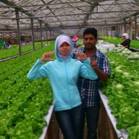 Monoluxury Sdn Bhd Genting Highland