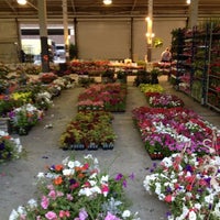 Photo taken at Eastern Market Shed 1 by Erin S. on 6/9/2012