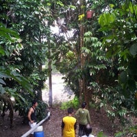 Felda Teloi Timur 7 Tips