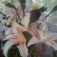 Photo taken at Aspire my Flowers by Mol S. on 6/17/2012