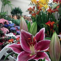 Photo taken at Armstrong Garden Centers by Melodie M. on 9/7/2012