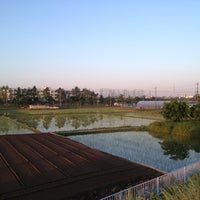 Photo taken at 葛飾橋 松戸側 土手 by Takahiro S. on 5/18/2012